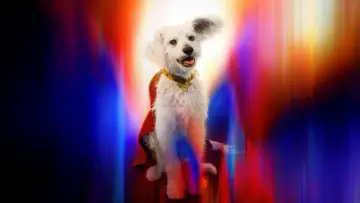 Backdrop to the movie "Superman: Legacy" #513444