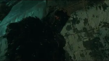 Backdrop to the movie "Frankenstein" #513647