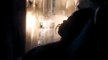 Backdrop to the movie "Infested" #190662