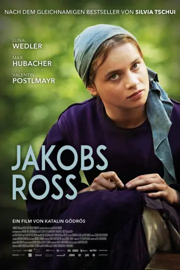 Poster to the movie "Songs Within" #198992