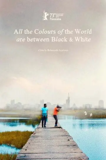 Poster to the movie "All the Colours of the World Are Between Black and White" #1090995