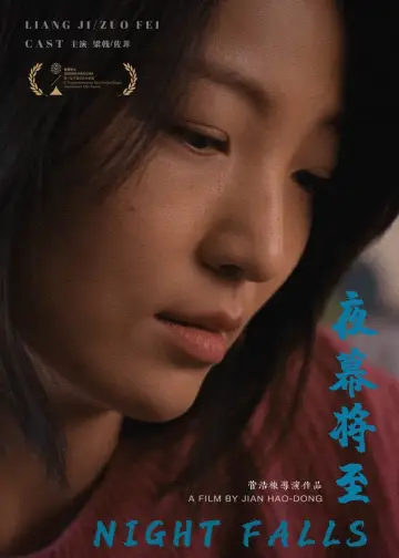 Poster to the movie "Night Falls" #199333