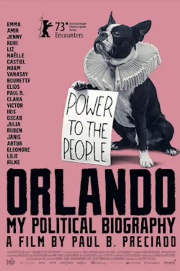 Poster to the movie "Orlando, My Political Biography" #1049988