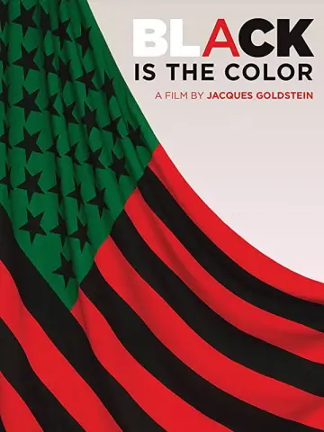 Poster to the movie "Black Is the Color: African-American Artists and Segregation" #1616934