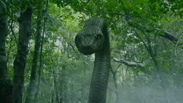 Backdrop to the movie "Deep Sea Python" #441778