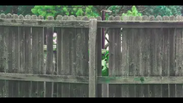 Backdrop to the movie "ZAPPER!" #1106436
