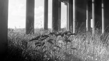 Backdrop to the movie "Facticity" #1189479
