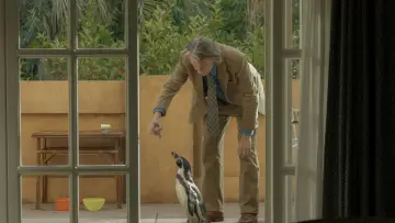 Backdrop to the movie "The Penguin Lessons" #583796