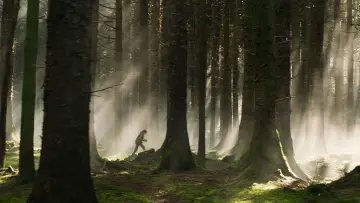 Backdrop to the movie "Untitled How to Train Your Dragon Film" #522909