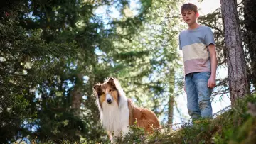 Backdrop to the movie "Lassie: A New Adventure" #479506
