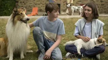 Backdrop to the movie "Lassie: A New Adventure" #503122