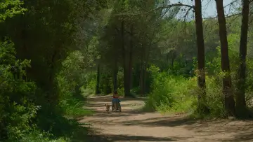 Backdrop to the movie "Little Loves" #444427