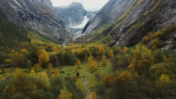 Backdrop to the movie "Songs of Earth" #192045