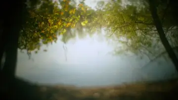 Backdrop to the movie "An Evening Song (for Three Voices)" #771453