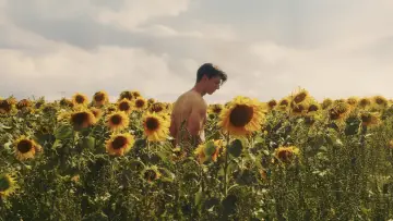 Backdrop to the movie "Sunflower" #820102