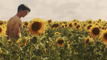 Backdrop to the movie "Sunflower" #820103