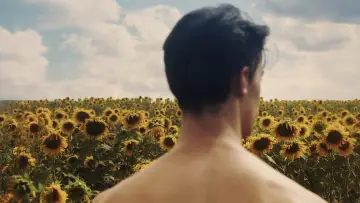 Backdrop to the movie "Sunflower" #820104
