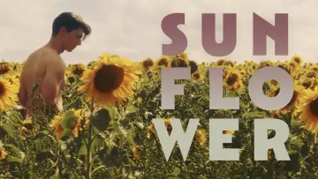 Backdrop to the movie "Sunflower" #820108