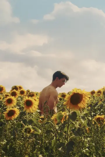 Poster to the movie "Sunflower" #820115