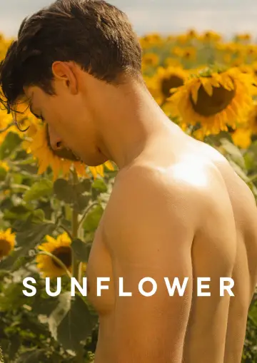 Poster to the movie "Sunflower" #820117