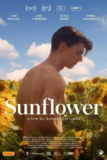 Poster to the movie "Sunflower" #820118