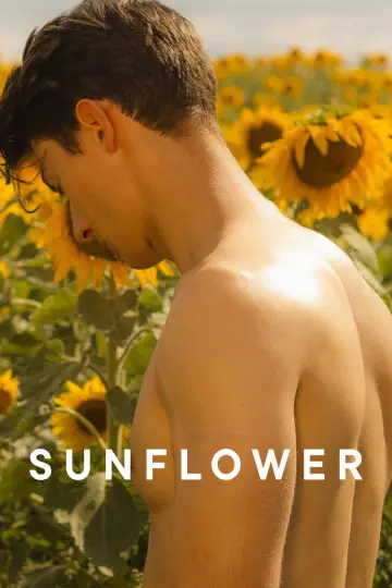 Poster to the movie "Sunflower" #820120
