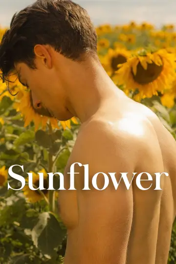 Poster to the movie "Sunflower" #820123
