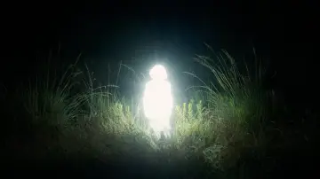 Backdrop to the movie "Chronicles of a Wandering Saint" #490832