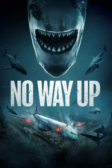 Poster to the movie "No Way Up" #747007