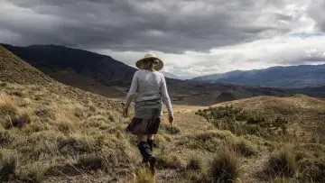 Backdrop to the movie "Wild Life" #1649505