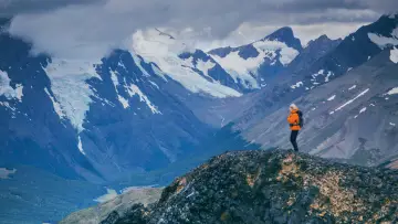 Backdrop to the movie "Wild Life" #1649508