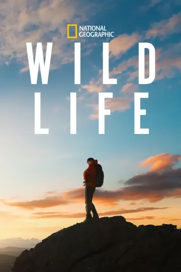 Poster to the movie "Wild Life" #1649517