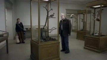 Backdrop to the movie "A Pigeon Sat on a Branch Reflecting on Existence" #506418