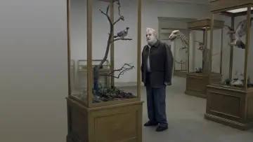 Backdrop to the movie "A Pigeon Sat on a Branch Reflecting on Existence" #994377