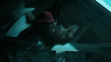 Backdrop to the movie "Paddington" #674580
