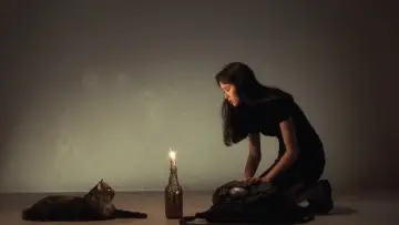 Backdrop to the movie "The Cat" #1138301