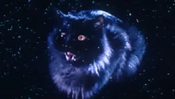 Backdrop to the movie "The Cat" #1138307