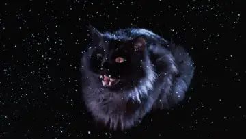 Backdrop to the movie "The Cat" #1138313