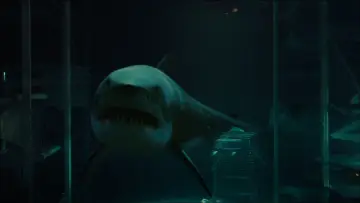 Backdrop to the movie "Bait" #694830