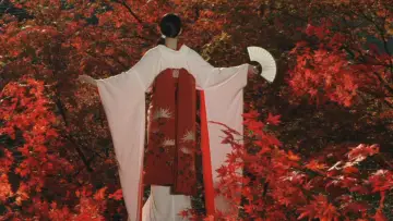 Backdrop to the movie "Yumeji" #483024