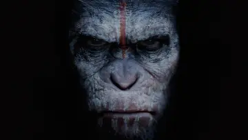 Backdrop to the movie "Dawn of the Planet of the Apes" #168379