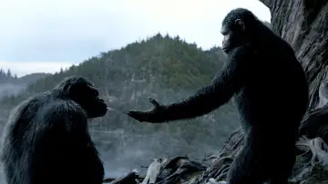 Backdrop to the movie "Dawn of the Planet of the Apes" #502829