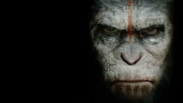 Backdrop to the movie "Dawn of the Planet of the Apes" #596959