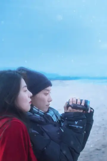 Poster to the movie "Heavy Snow" #916462
