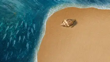 Backdrop to the movie "Moana" #954057