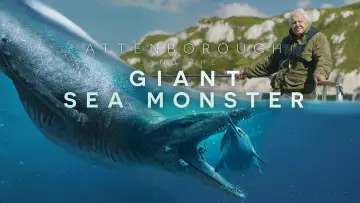Backdrop to the movie "Attenborough and the Giant Sea Monster" #197783