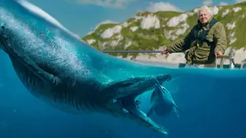 Backdrop to the movie "Attenborough and the Giant Sea Monster" #747484