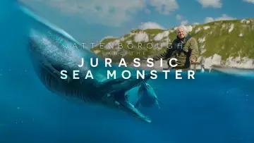 Backdrop to the movie "Attenborough and the Giant Sea Monster" #984092