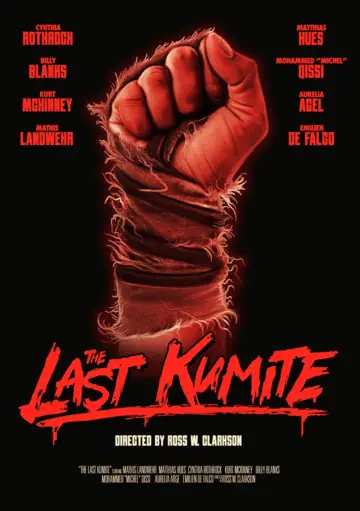 Poster to the movie "The Last Kumite" #683823