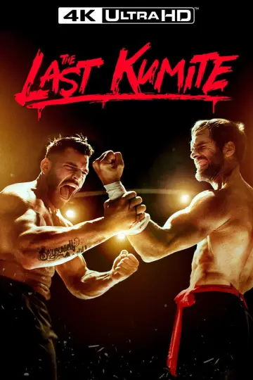 Poster to the movie "The Last Kumite" #683826
